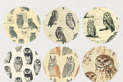 Owl Stamp Ink Seamless Patterns, a Pattern Graphic by Natural Planners (Thumbnail 2 of 4)