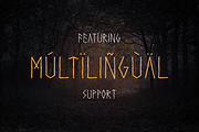 Harga Runic Pagan Font, a Font by Von Type Co (Thumbnail 7 of 8)
