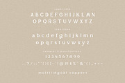 LA DE CHANE Display Font, a Serif Font by Hishand Studio (Thumbnail 8 of 10)