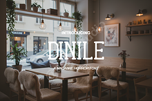 Dinile - Elegant Luxury Serif Typefa
