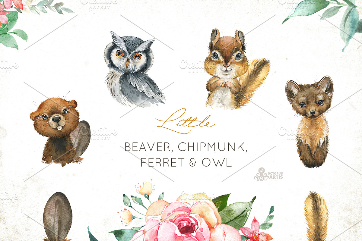Woods. Little Watercolor Animals, an Animal Illustration by OctopusArtis (Photo 2 of 9)