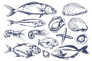 Hand drawn ocean fish vintage style, an Animal Illustration by Valerie Bodnar