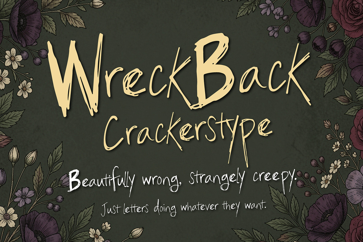 Wreck Back Crackerstype, a Handwritten Font by HypeWorksCo (Photo 1 of 21)