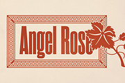 Rama Gothic, a Sans Serif Font by Dharma Type (Thumbnail 4 of 10)
