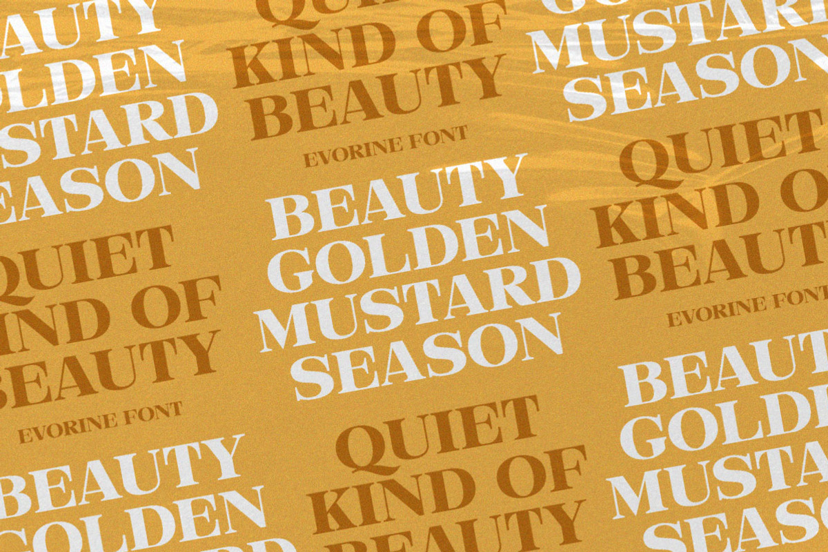 Evorine Stylish Serif, a Serif Font by Letterhend Studio (Photo 6 of 11)