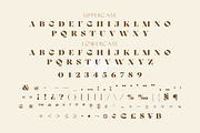 Giorgia: A Dreamy HighContrast Serif, a Serif Font by Genilson Santos (Thumbnail 11 of 15)