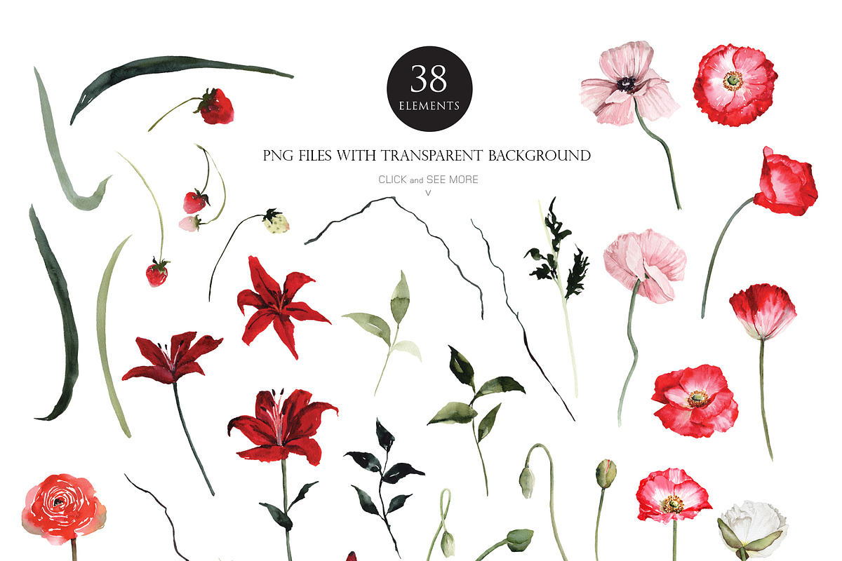 Watercolor flower - Passion of Dark, an Illustration by Beigetime (Photo 2 of 13)
