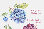 Fruit Watercolor Illustrations, an Illustration by emine (Thumbnail 2 of 3)
