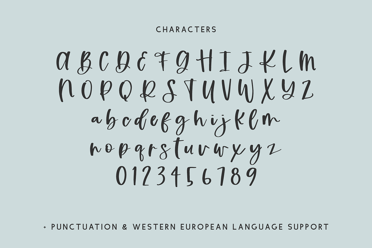 Tundra Script, a Script Font by Beck McCormick (Photo 9 of 9)