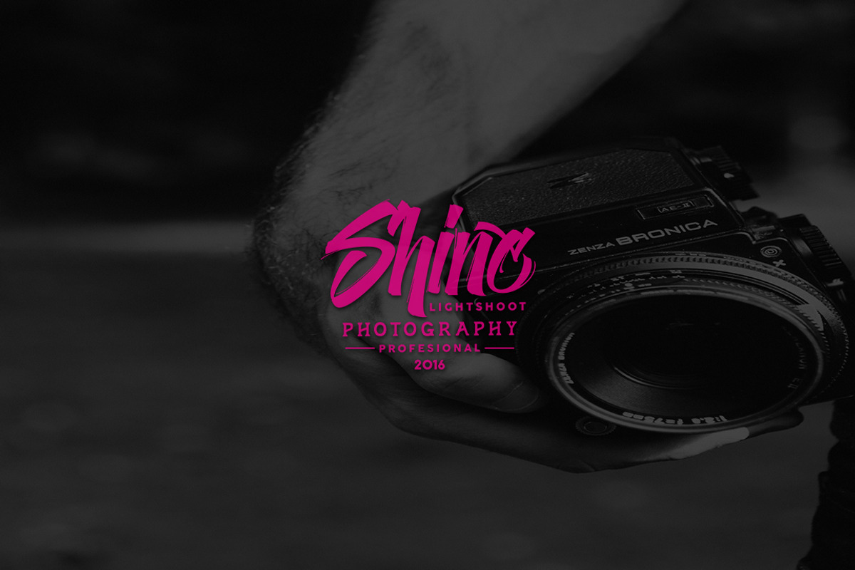 The Sectione Bright preview 4