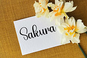 Beloved Christmas, a Handwritten Font by FreshTypeINK (Thumbnail 8 of 8)