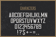 Tennessee Whiskey label font, a Script Font by VozzyStock (Thumbnail 2 of 6)
