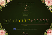 Flamingo - formal script, a Script Font by Blessed Print (Thumbnail 7 of 13)