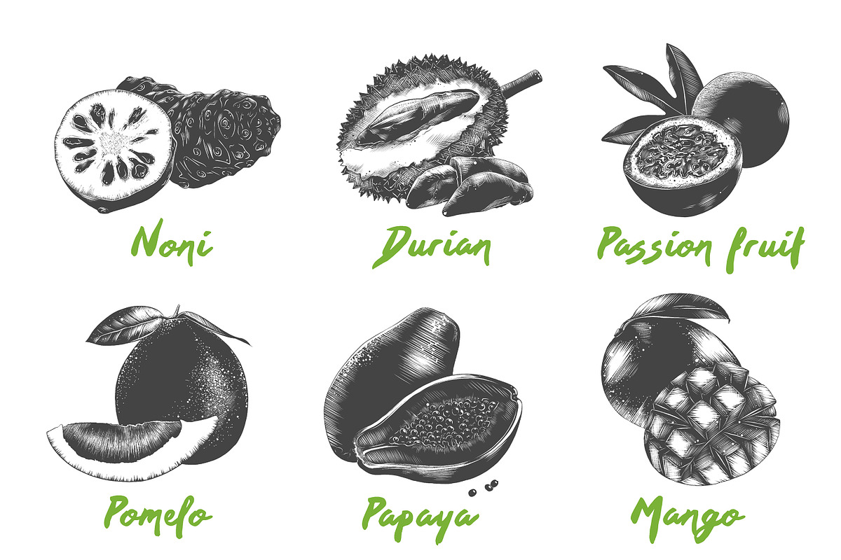Set of 44 organic food objects, a Decorative Illustration by Akimo Mia (Photo 5 of 10)