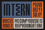 Flourite Font – Bold Condensed Displ, a Sans Serif Font by Brainwaves.Studio (Thumbnail 3 of 8)