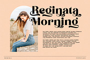 Begika Modern and Classy Serif Font, a Script Font by Storytype Studio (Thumbnail 4 of 11)