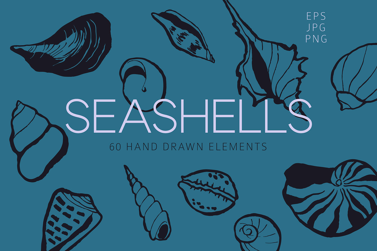 Seashells Hand drawn vector elements, a Seasonal Illustration by Lena Nikolaeva (Photo 1 of 14)