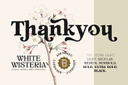 White Wisteria Fonts Family, a Serif Font by Asenbayu (Thumbnail 13 of 13)