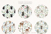 Woodland Babies Wild Animals Clipart, an Animal Illustration by whiteheartdesign (Thumbnail 25 of 28)