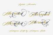 Analogous | Elegant Calligraphy, a Script Font by Analogous (Thumbnail 5 of 14)