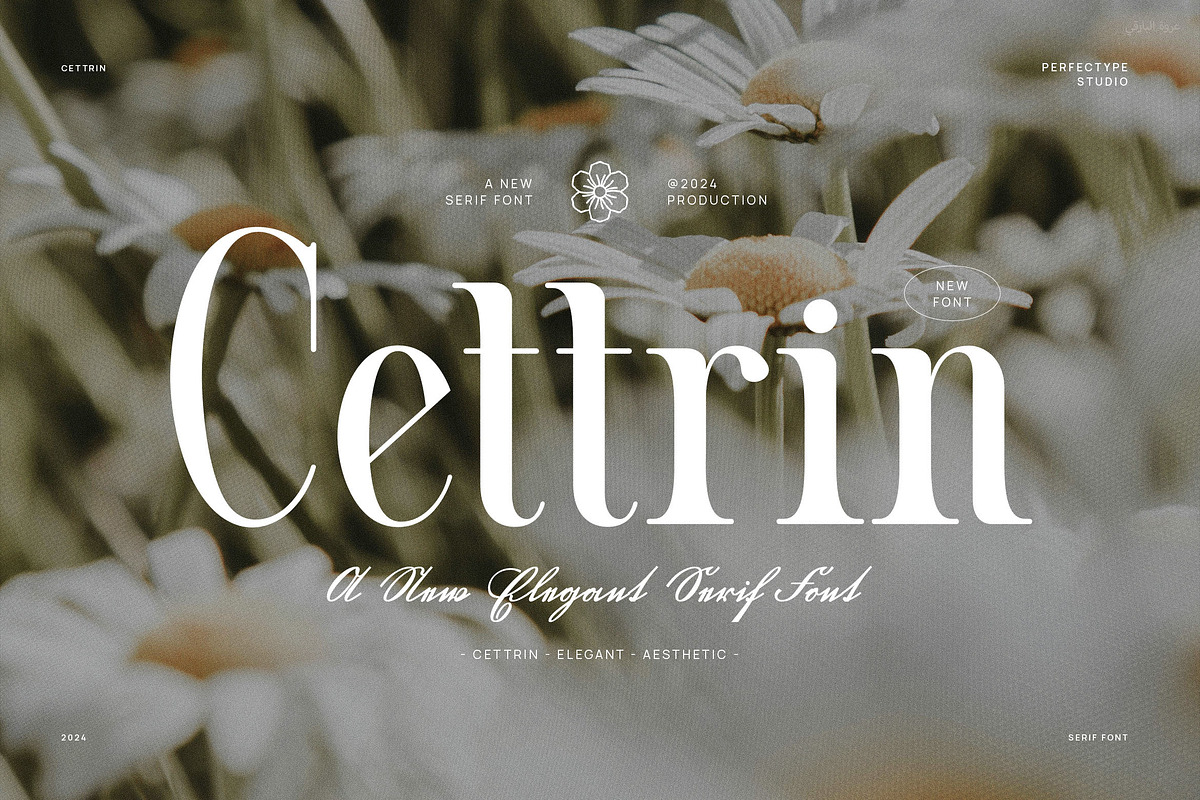Cettrin Modern Serif Font, a Serif Font by Perfectype (Photo 1 of 6)