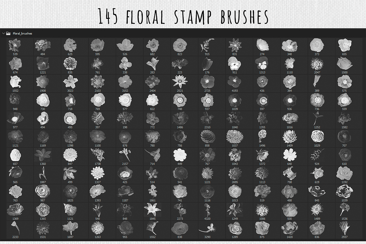 Photoshop Floral Stamp Brushes, a Brush Add-On by Art Sproot (Photo 7 of 9)