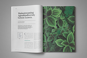 Indesign Magazine Template #6, a Magazine Template by spidergraph (Thumbnail 4 of 12)