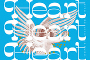 Tender Heart Modern Display Serif, a Serif Font by timelesstype.co (Thumbnail 12 of 20)