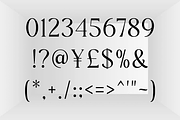 Coastgane - Modern Stylish, a Serif Font by RockboyStd (Thumbnail 10 of 12)