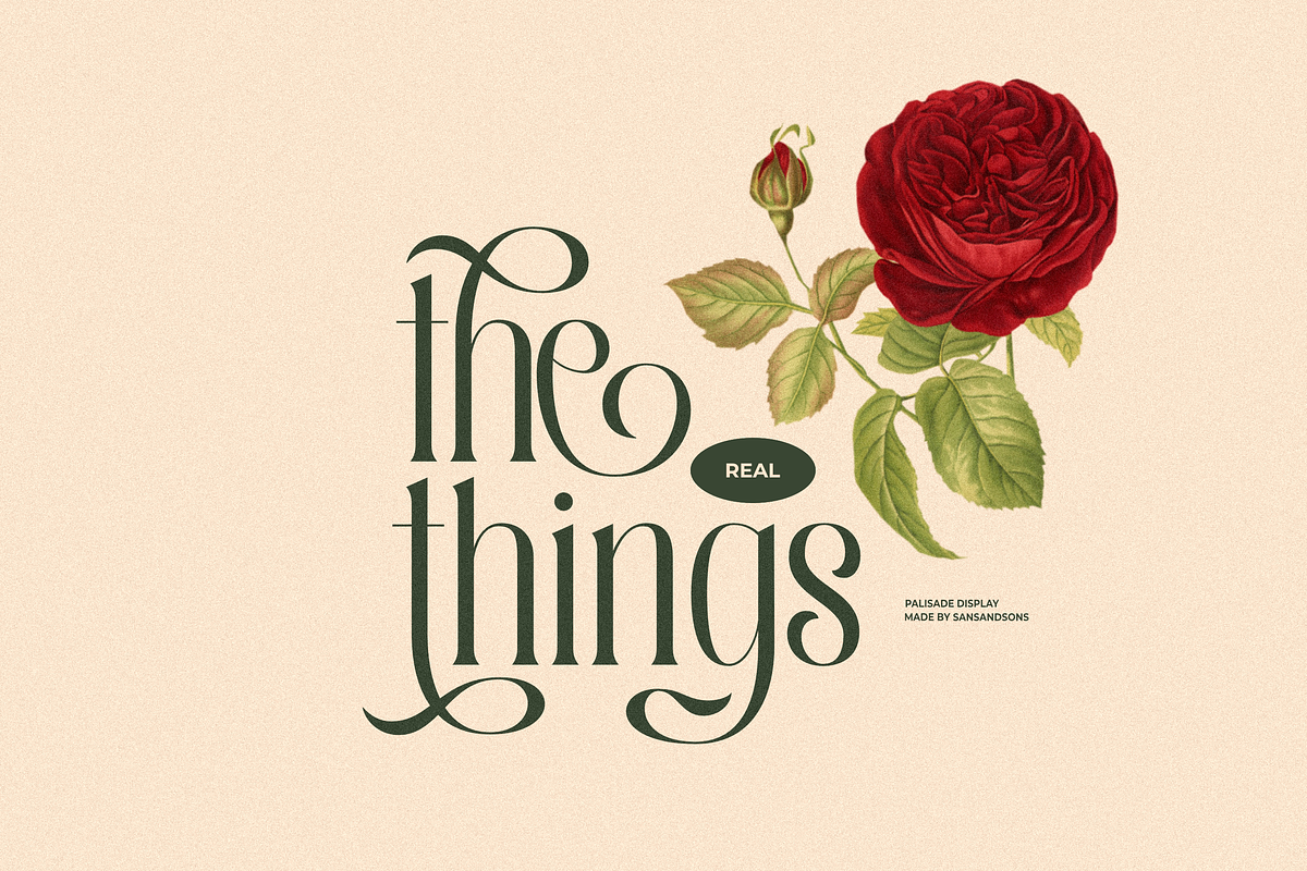 Palisade Display Font, a Serif Font by Sans & Sons (Photo 2 of 10)