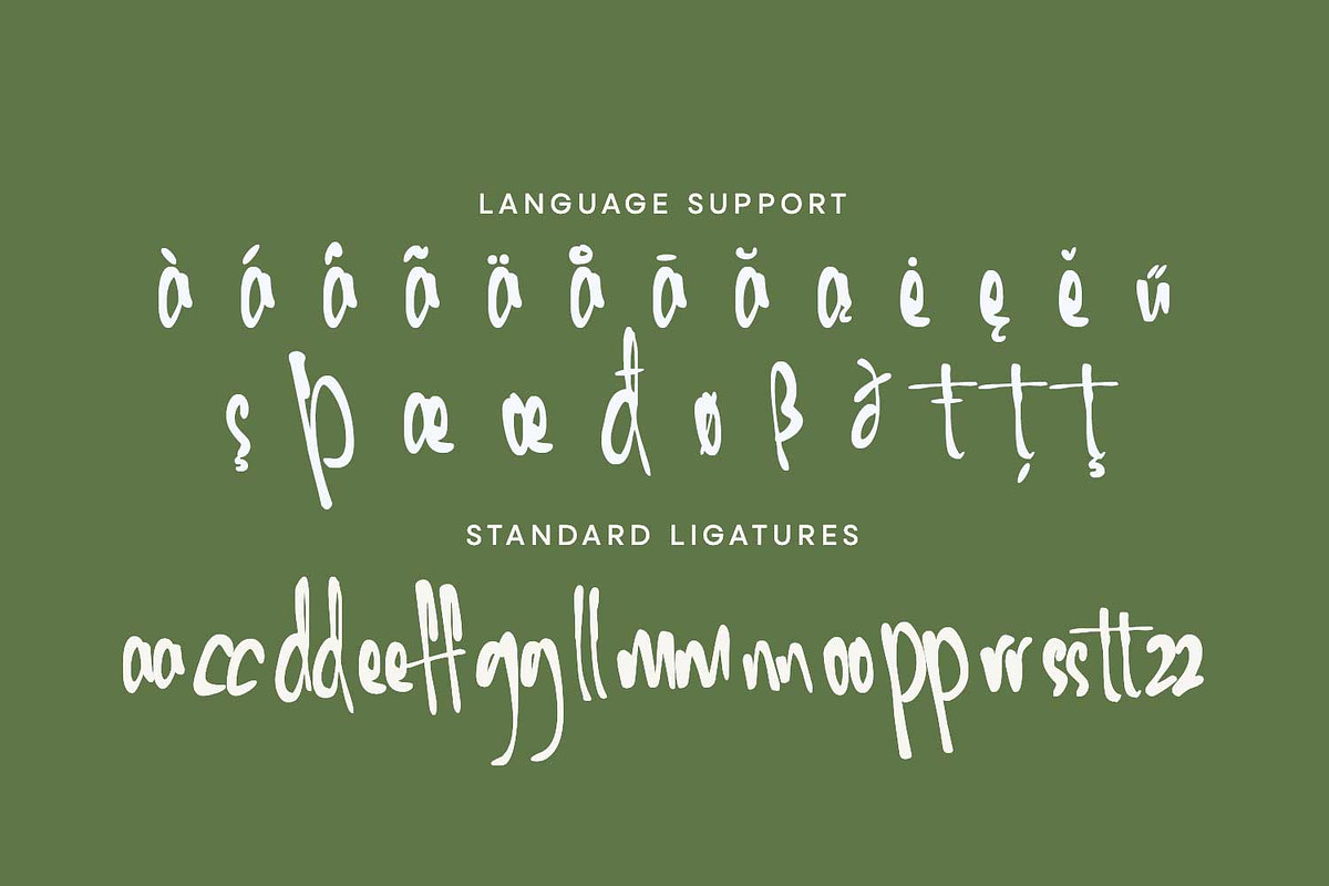 Ambrolite - Expressive handwritten, a Handwritten Font by Cititype (Photo 10 of 15)
