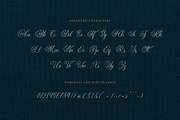 Amanda Calligraphy, a Script Font by RockboyStd (Thumbnail 9 of 12)