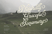 The Roycella Script, a Script Font by Letterhend Studio (Thumbnail 5 of 9)