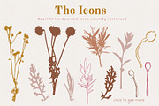Caramelange Graphic & Pattern Set, an Illustration by PrettyLittlePigs (Thumbnail 2 of 11)