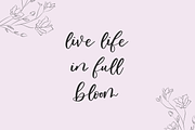Oakley May Script, a Script Font by Beck McCormick (Thumbnail 5 of 9)
