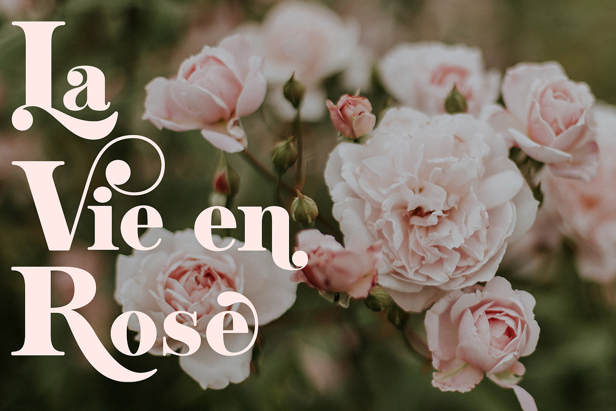 Mighty Aphrodite // A Classy Serif, a Serif Font by Megs Lang (Photo 9 of 22)