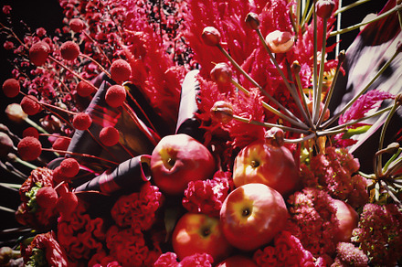 Floral Photo Art • v38, a Nature Photo by Alexander BLOOMS