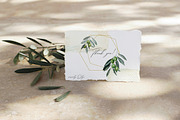 Toscana Olives Greenery, a Food Illustration by Olga Koelsch (Thumbnail 13 of 13)