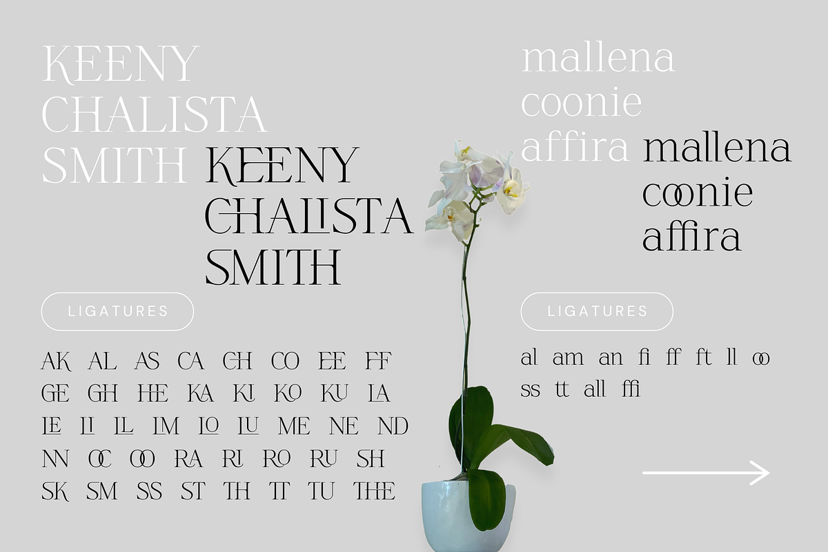 Askilon - Beautiful Serif Font, a Serif Font by Sronstudio (Photo 13 of 13)