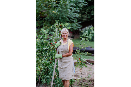 Senior woman farmer taking care of, a Person Photo by HalfPoint