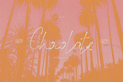 Giardino Albino - Elegant Signature, a Script Font by Artcoast Fonts (Thumbnail 16 of 16)