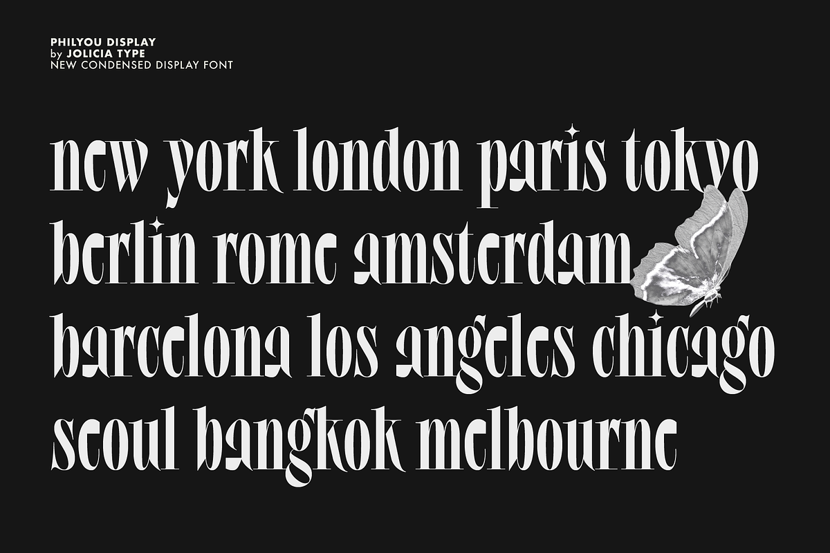 Philyou Display | Clean & Expressive, a Serif Font by Jolicia Type (Photo 10 of 15)