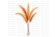Dried Pampas Grass, a Decorative Illustration by Bloom Craft Creations (Thumbnail 9 of 10)