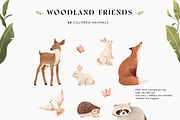 Woodland Animals: colored & outline, an Animal Illustration by imajineko (Thumbnail 4 of 10)