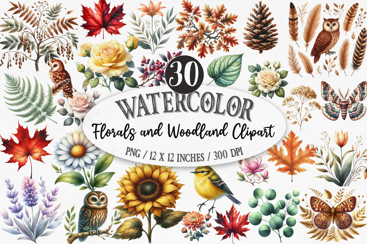 Florals and Woodland Clipart, an Illustration by Designking (Photo 1 of 5)