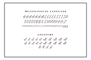 Bellany – Elegant Handwritten Script, a Script Font by dealitastudio (Thumbnail 8 of 8)