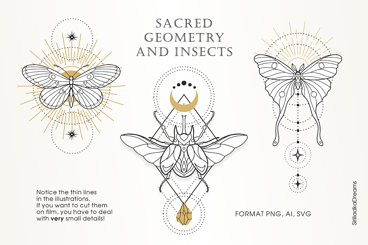 Skakralny geometry and beetles, an Illustration by Siriliadka Dreams (Photo 2 of 10)