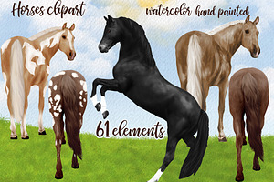 Watercolor Horse Clipart Horses Png