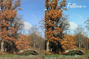 Falltime Photoshop Actions, an Action Add-On by skybluecreative (Thumbnail 6 of 10)