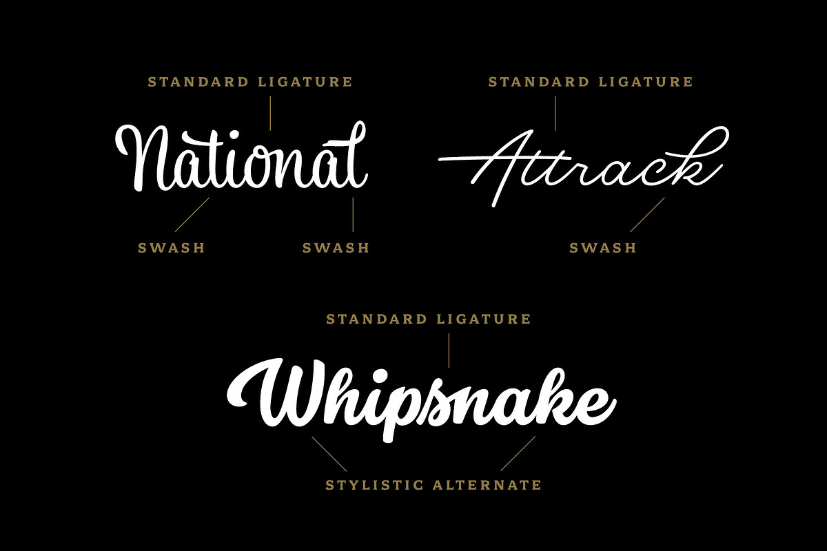 Dallas Print Shop Font Bundle, a Sans Serif Font by Fenotype (Photo 11 of 12)